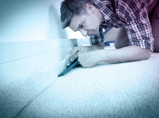 Interior-carpetnew
