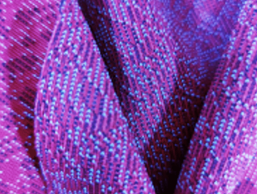 Mesh bijfoto15
