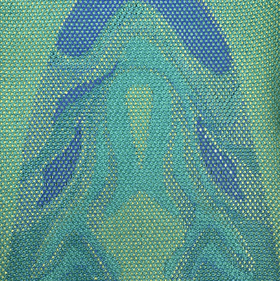 Mesh bijfoto2
